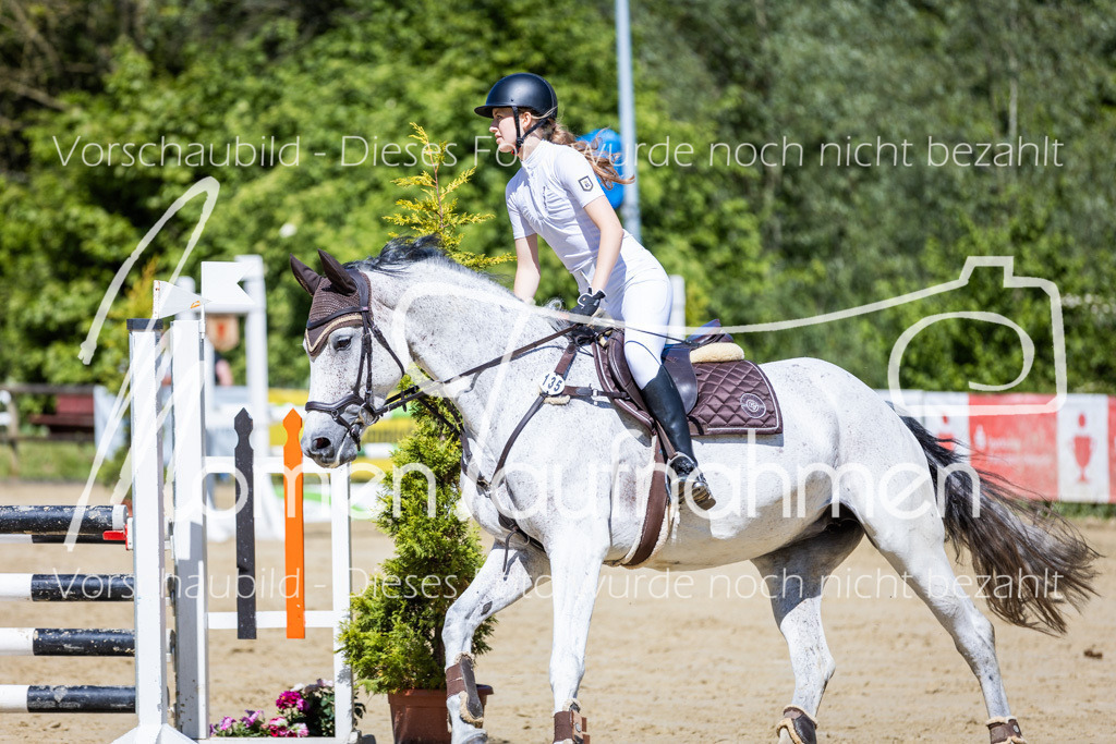 Donop24-ASprmstA-053 | MomenTaufnahmen Pferdesportfotos