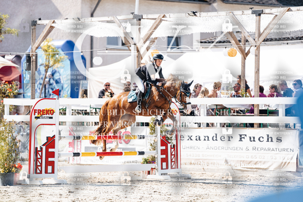 CK908239 | Turnierfotografie Pferdefotografie Trier Rheinland-Pfalz Pferdesport Reitsport Tierfotografie Sportfotografie Pferdevideo Pferdevideografie Equestrianvideography equestrianphotography  - Realisiert mit Pictrs.com