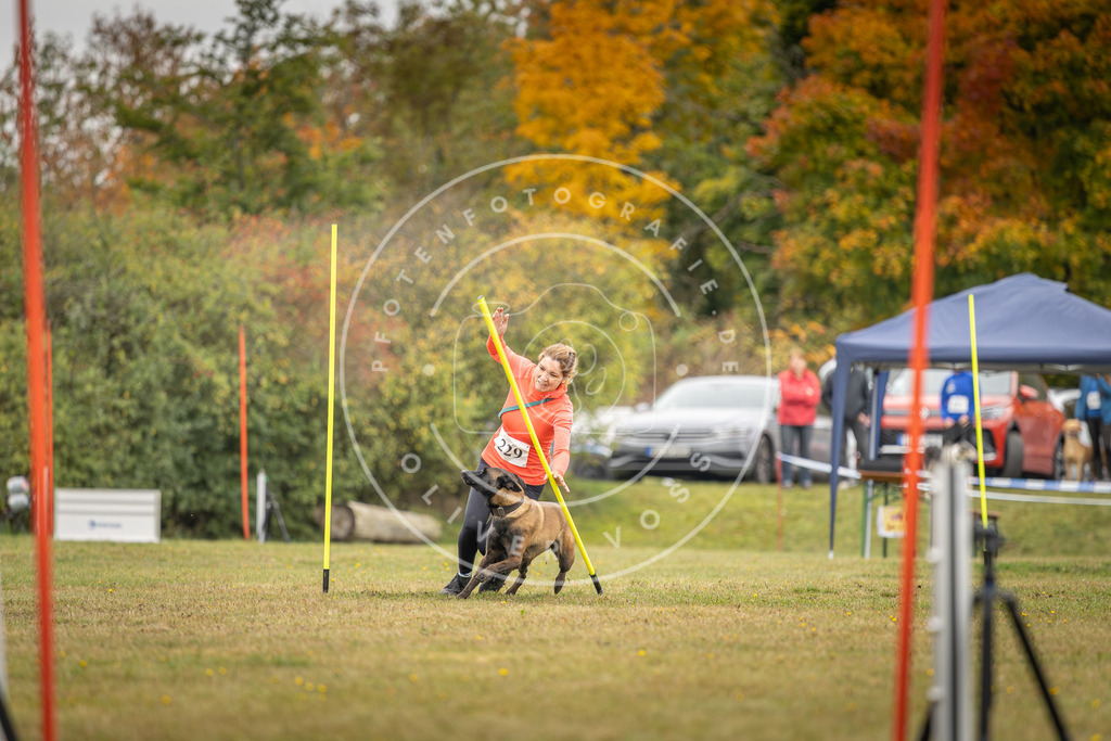 Pfotenfotografie_DV3A4086 | Hundefotografie, Tierfotograf, Pfotenfotografie, Fotoshooting Hund, Hunde Portrait, Hundesport, Hundeportraits, Heideshooting, Hunde, Sportfotograf, Hundefotograf, Turnierhundsport, THS,  - Realisiert mit Pictrs.com