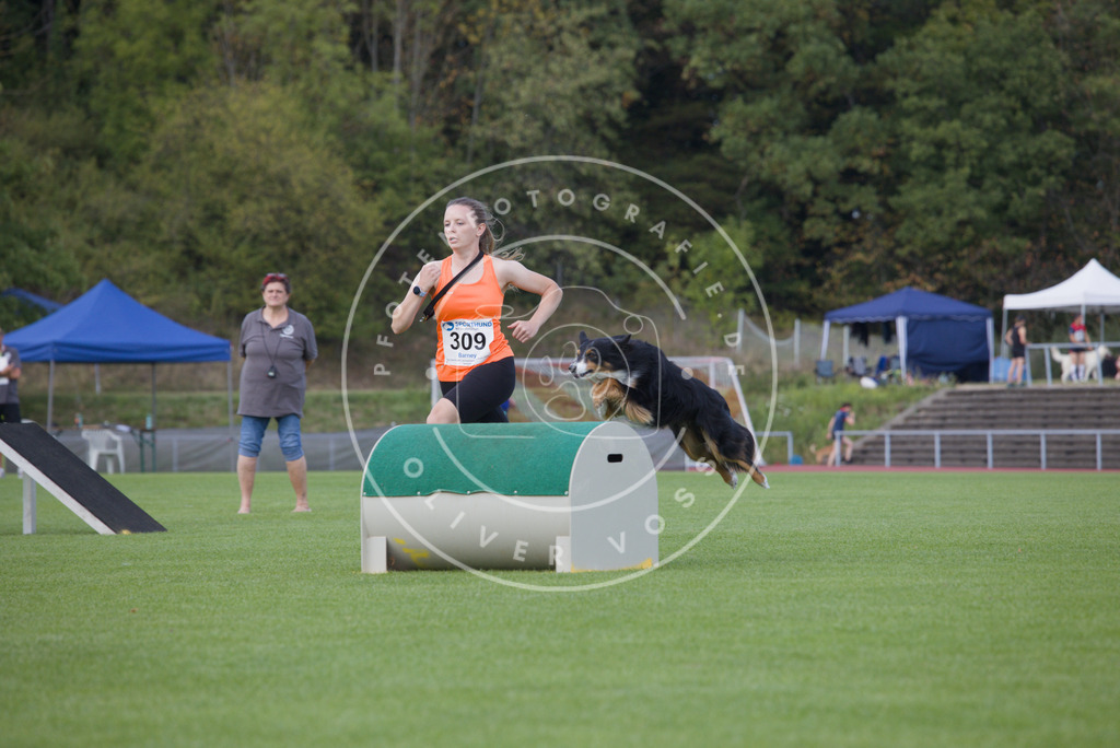 0L8A4155 | Hundefotografie, Tierfotograf, Pfotenfotografie, Fotoshooting Hund, Hunde Portrait, Hundesport, Hundeportraits, Heideshooting, Hunde, Sportfotograf, Hundefotograf, Turnierhundsport, THS,  - Realisiert mit Pictrs.com