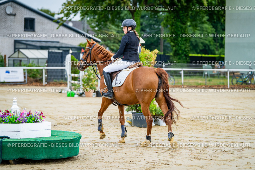 DSC01552 | Pferdegrafie