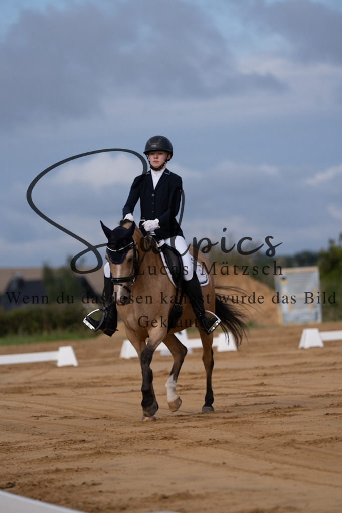 A7V05092 | Pferdefotograf