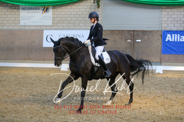 IMG_2568 | Turnierfotos kaufen im Webshop von Daniel Kuhl Photography – entdecke professionelle Reitsportfotos aus Turnieren & Events. Hochwertige Turnierbilder online bestellen & sichern. Jetzt Fotos von Reitsportturnieren kaufen!