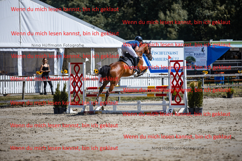 BK1A5241 | Turnierbilder Turnierfotos Nina Hüffmann Turnierfotografie Pferdefotografie Tierzeichnung Haustierzeichnung Pferdezeichnung Hundezeichnung Videograf  - Realisiert mit Pictrs.com