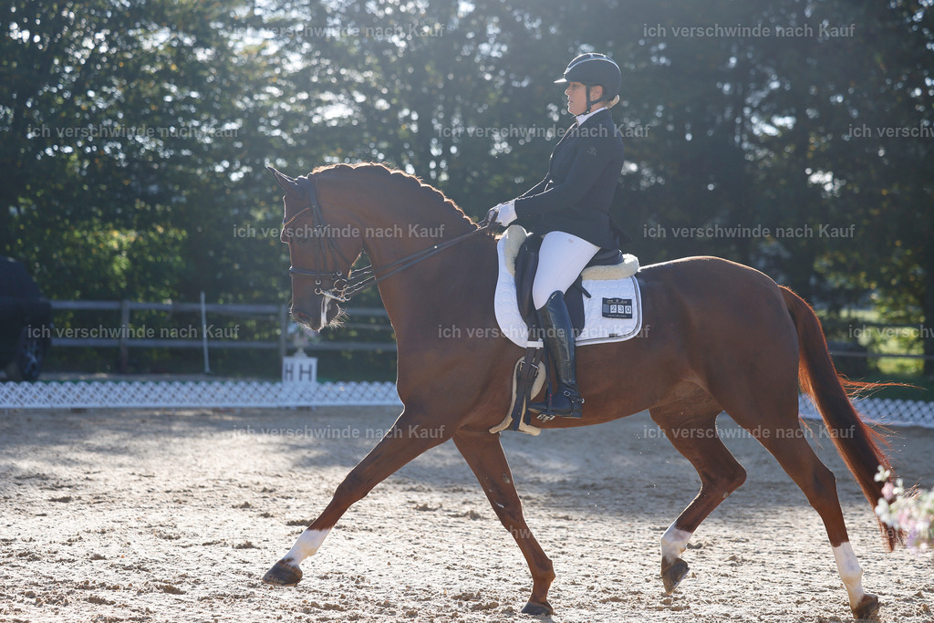 09_1-230-DRESSUR  S_  -StoibPH-5540 | working equitationturnier fotograf videograf stoibphotography marixx film working equitation deutschland reitsport turnierfotografie eventfotografie equestrian events