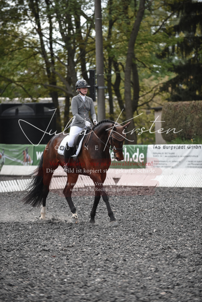 20230513_JK-Röhrsdorf-14-837 | Pferde- und Turnierfotografie in Westsachsen. Pferdeportraits, Auftragszeichnungen und intuitive Kunst.