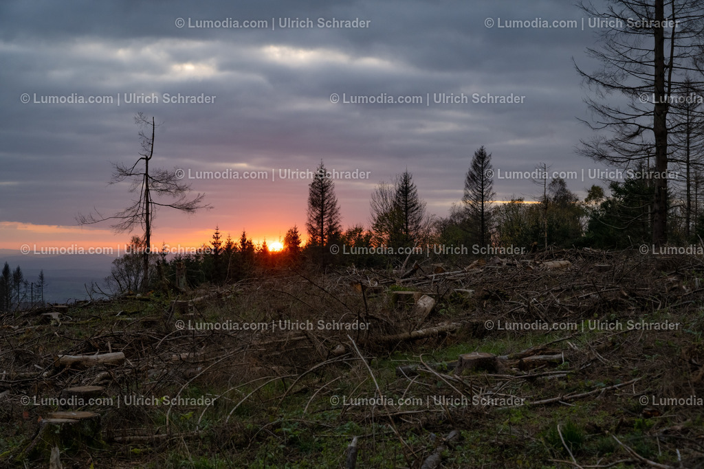 10049-12910 - Herbst im Westharz | Stockfoto und Bilderpool mit Bildmaterial aus Deutschland, dem Harz, Halberstadt, Quedlinburg, Wernigerode und weltweit. Qualitativ hochwertige und professionelle Fotos anschauen und kaufen. - Realisiert mit Pictrs.com