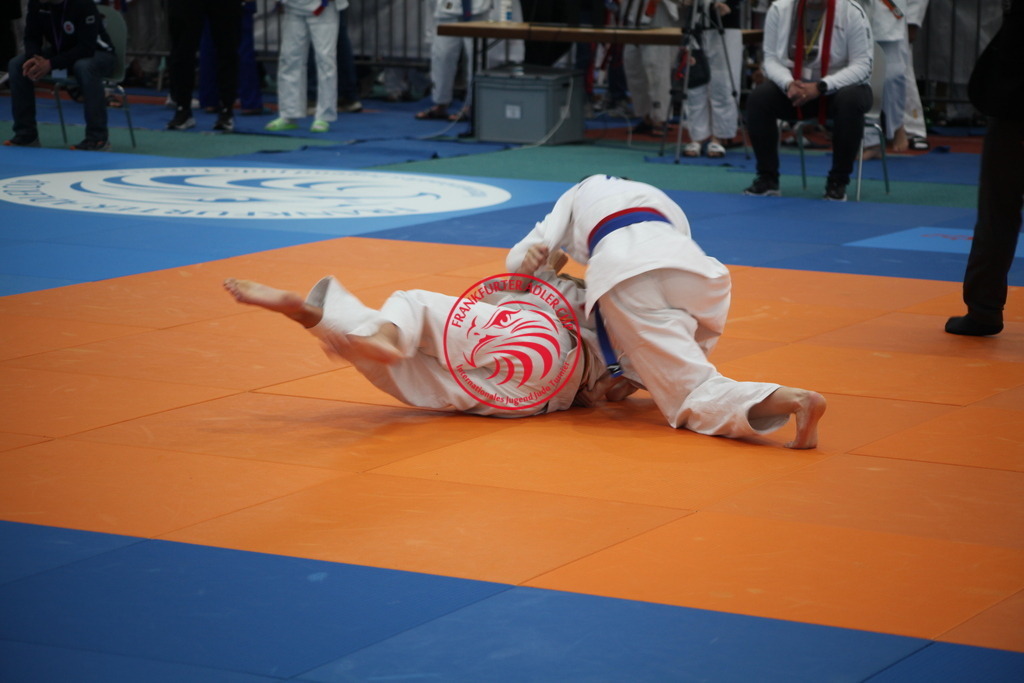 IMG_1050 | Fotos vom Adler Cup - Pictures from Adler Cup

Hier findet Ihr alle Eindrücke und großen Momente der Adler Cup Wochenenden. Here you will find all impressions and great moments of the Adler Cup weekends. - Realisiert mit Pictrs.com