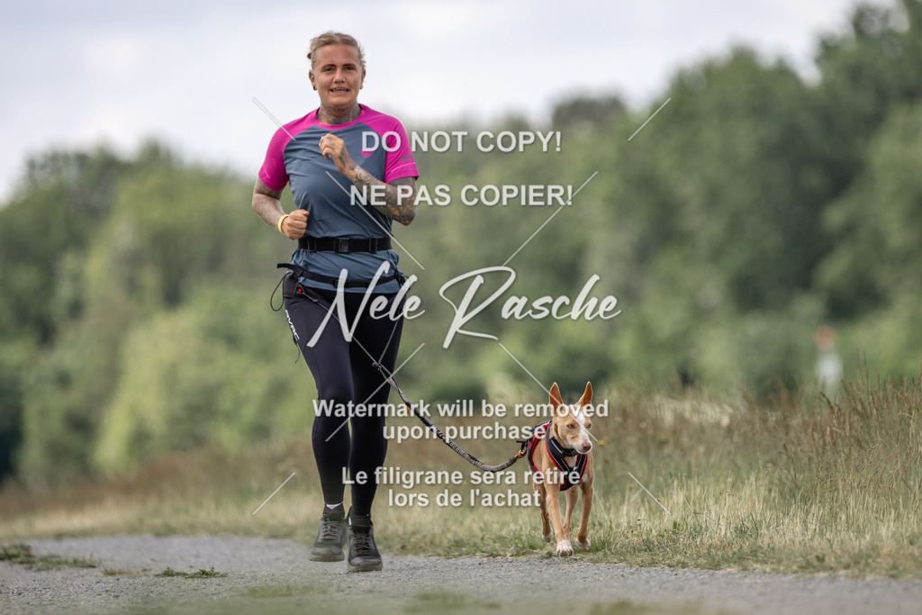 nelerasche_BuHu2026_SaCC1100-1200_172 | nelerasche