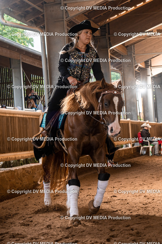 Erbach Tag 3-716 | dv-media-shop - Realisiert mit Pictrs.com