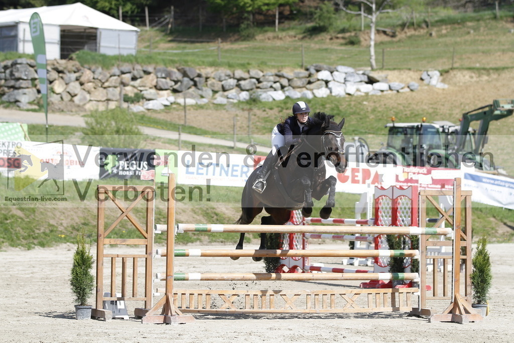 _MG_9518 | equestrian-live-com