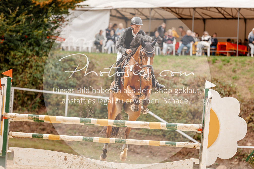 3I6A8259 | Stimmungsvolle Portraits und Reitsportfotografie im Ruhrgebiet und im Münsterland.

Pferdefotografie, Hundefotografie, Tierfotografie, Reportagen, Portraits von Tier und Mensch, Turnierfotografie in Bochum, Recklinghausen, Marl, Haltern am See, Dülmen.. - Realisiert mit Pictrs.com