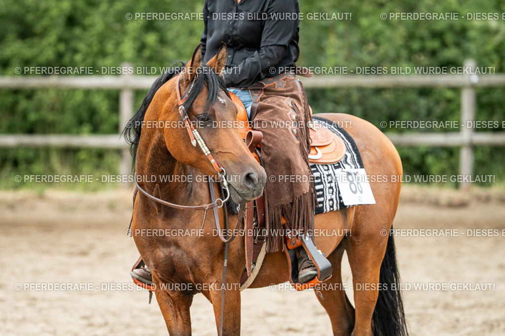 DSC04597 | Pferdegrafie