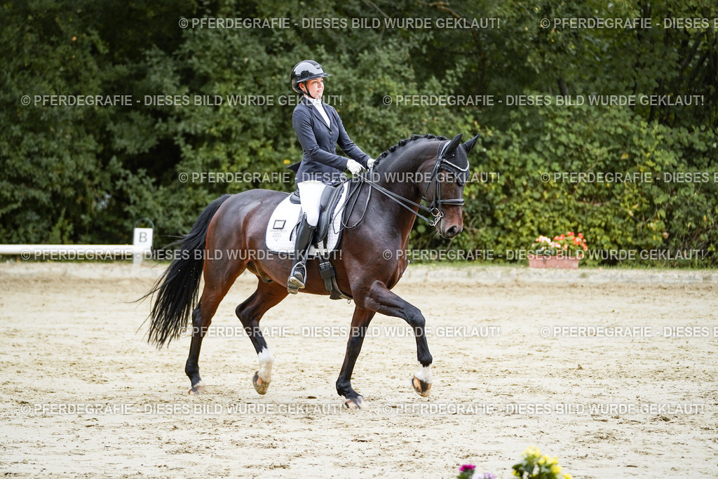 DSC09160 | Pferdegrafie