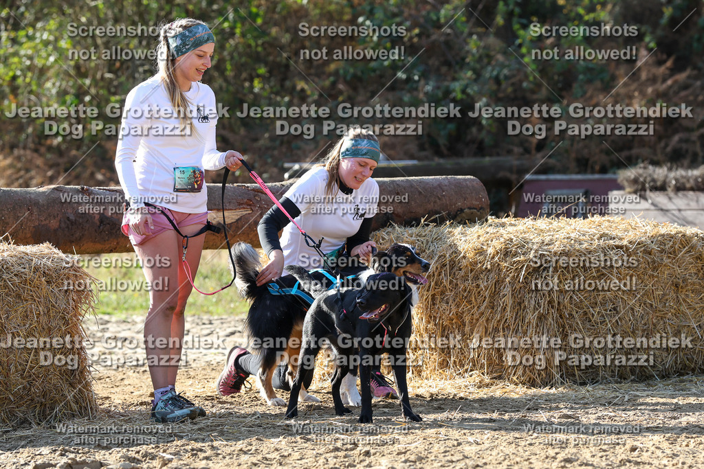 Dog Paparazzi - Strongdog 10-25-6018 | Dog Paparazzi Jeanette Grottendiek Fotografie & Videografie - Realisiert mit Pictrs.com