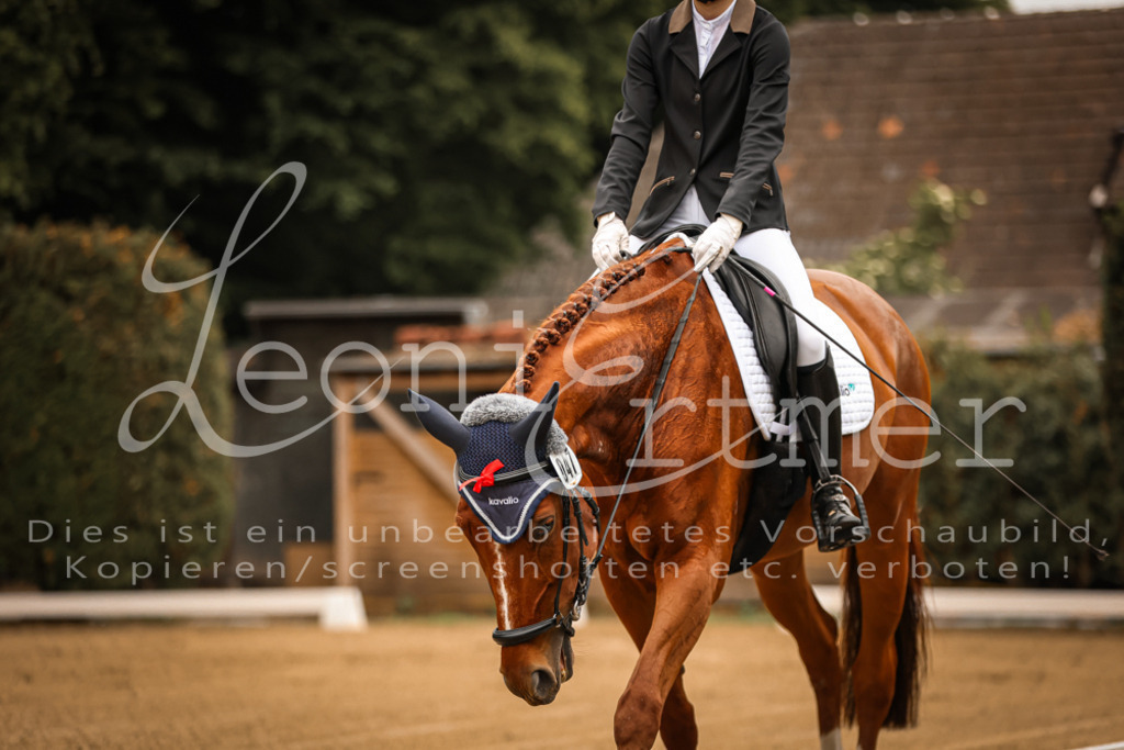 DoDrA00011 | Leoni Ertmer Photography - Realisiert mit Pictrs.com