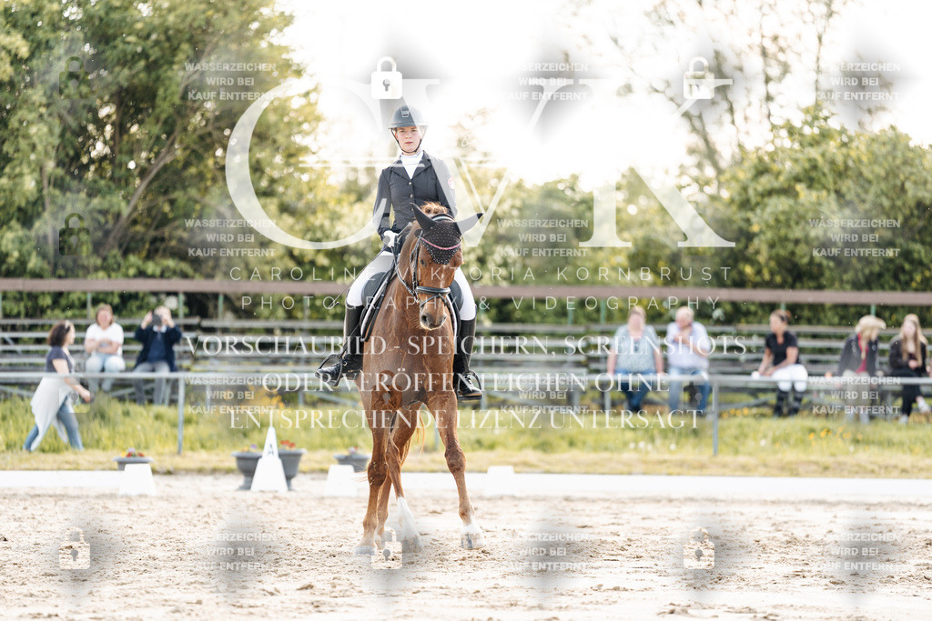 CK909732 | Turnierfotografie Pferdefotografie Trier Rheinland-Pfalz Pferdesport Reitsport Tierfotografie Sportfotografie Pferdevideo Pferdevideografie Equestrianvideography equestrianphotography  - Realisiert mit Pictrs.com