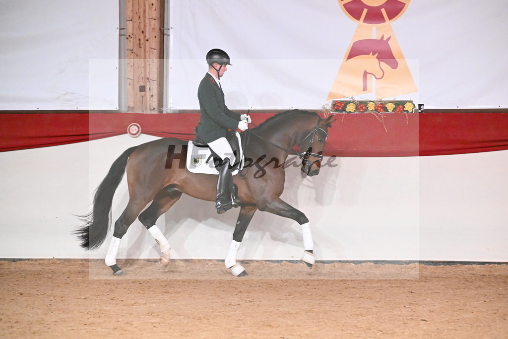 Vabenotto_Süß_3262390 | hf-fotografie - Realisiert mit Pictrs.com