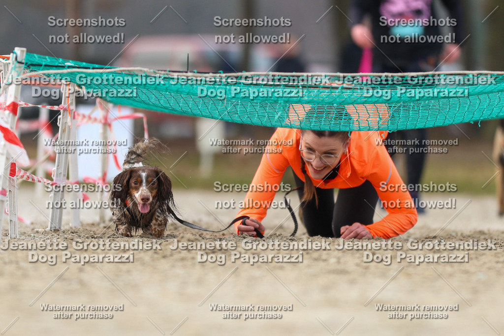 Dog Paparazzi - Strongdog North Mrz26-4432 | Dog Paparazzi Jeanette Grottendiek Fotografie & Videografie - Realisiert mit Pictrs.com