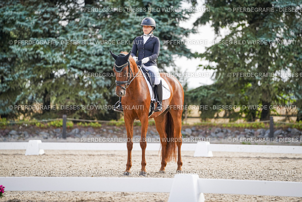 DSC00704 | Pferdegrafie