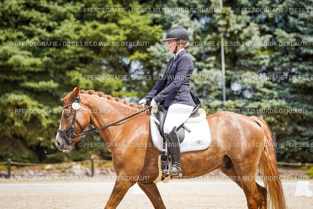 DSC03378 | Pferdegrafie