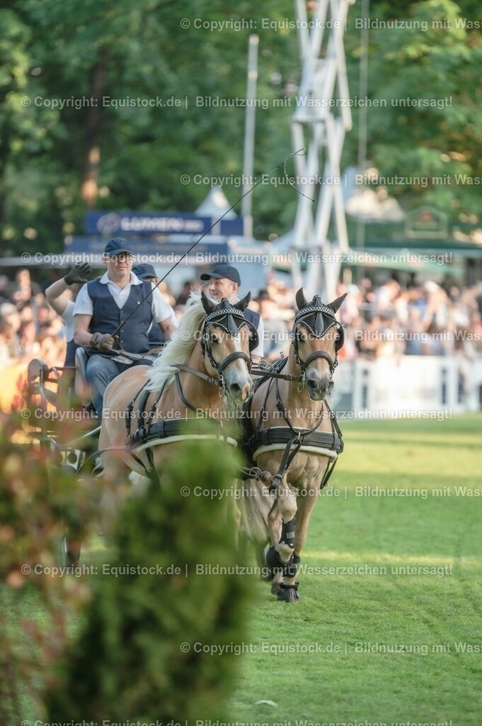 20230526_Pferdenacht_0157 | equistock