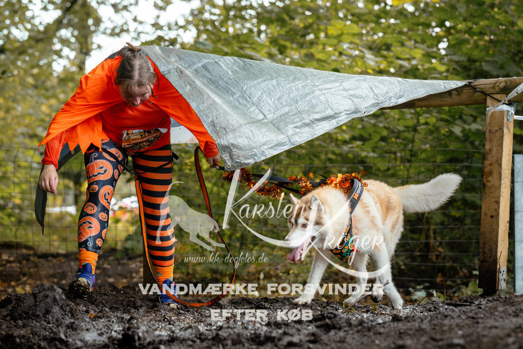 1434DZ6_2968Z6 | kk-dogfotos