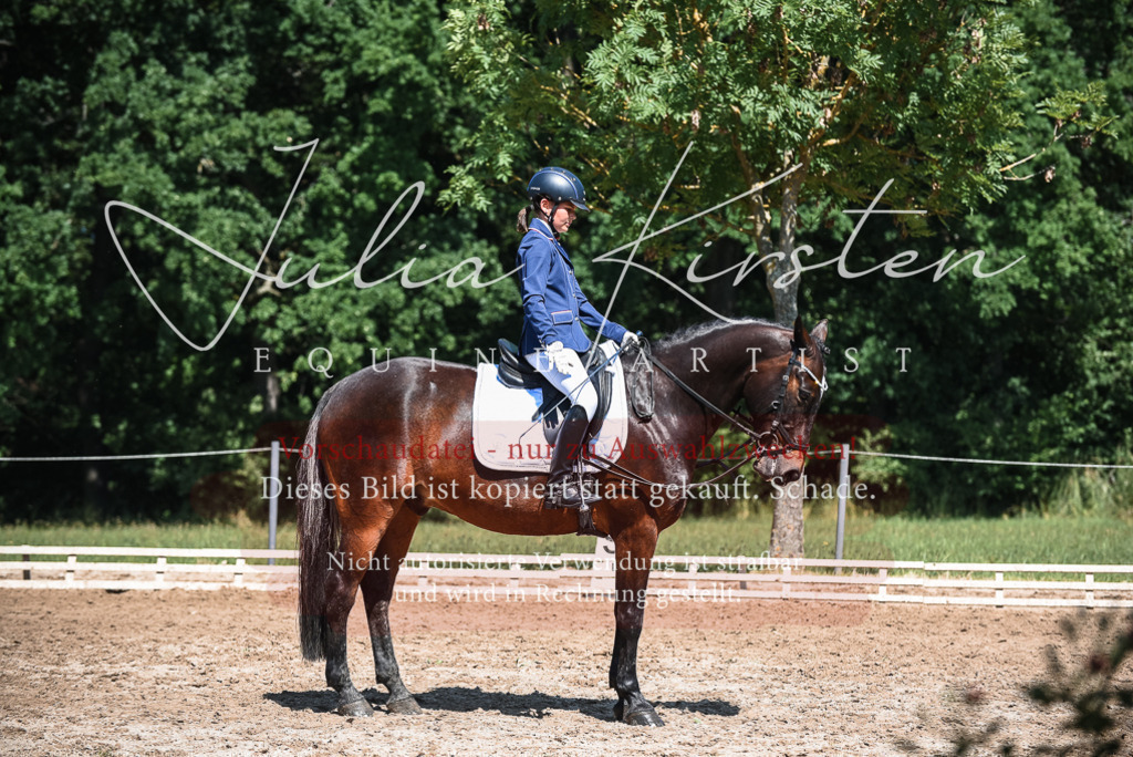 DSC_3391 | Pferde- und Turnierfotografie in Westsachsen. Pferdeportraits, Auftragszeichnungen und intuitive Kunst.