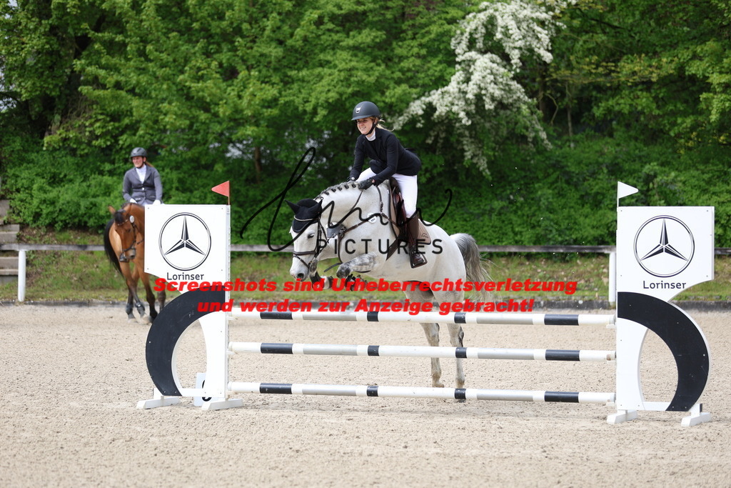 A40A1515 | lmwpictures - Realisiert mit Pictrs.com