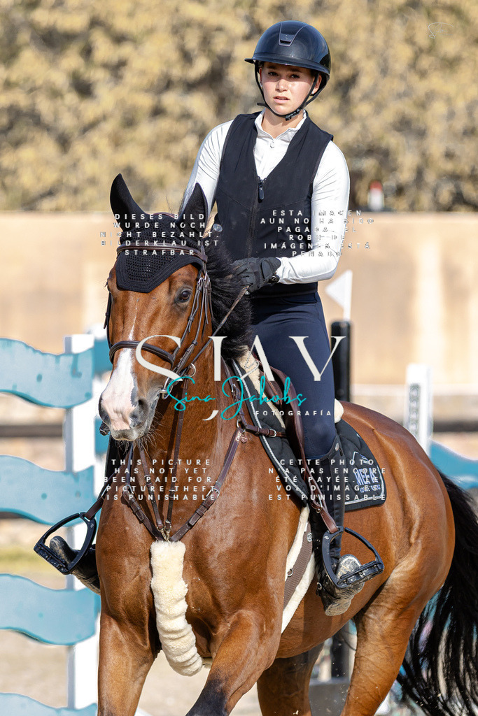 IMG_4275 | s-jay-photography - Realisiert mit Pictrs.com