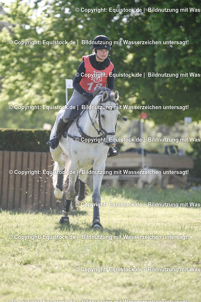 20250517_CCI2_Gelände_0490 | Foto: Thomas Hartig