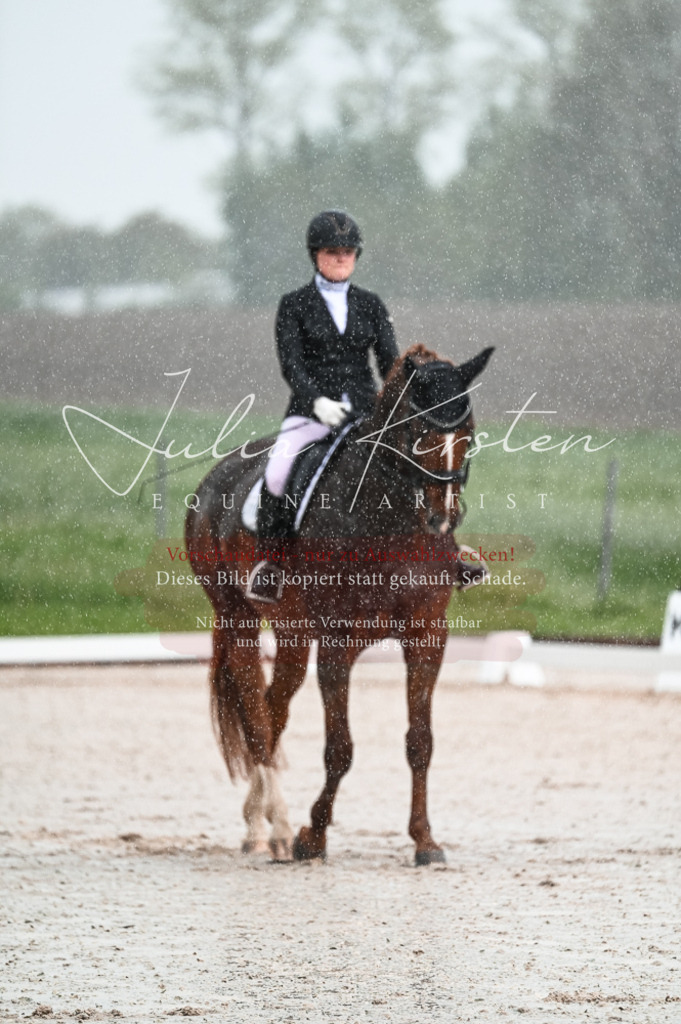 DSC_4115 | Pferde- und Turnierfotografie in Westsachsen. Pferdeportraits, Auftragszeichnungen und intuitive Kunst.