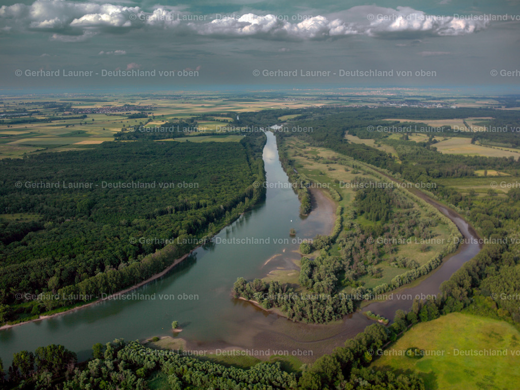 24S03219 | Stockstadt-Erfelder Altrhein