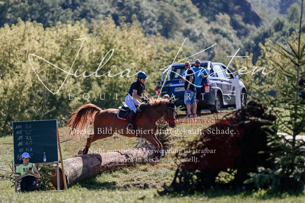 DSC_3047 | Pferde- und Turnierfotografie in Westsachsen. Pferdeportraits, Auftragszeichnungen und intuitive Kunst.