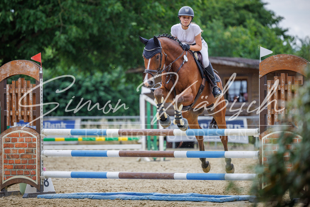 20260705-_3LI6197 | Tierfotografie Pferde, Hunde, Katzen, Haustiere.
Turnierfotografie Reitturniere, Reiten, Springreiten, Dressur in Hanau, dem Main-Kinzig-Kreis und dem Rhein-Main- Gebiet um Frankfurt