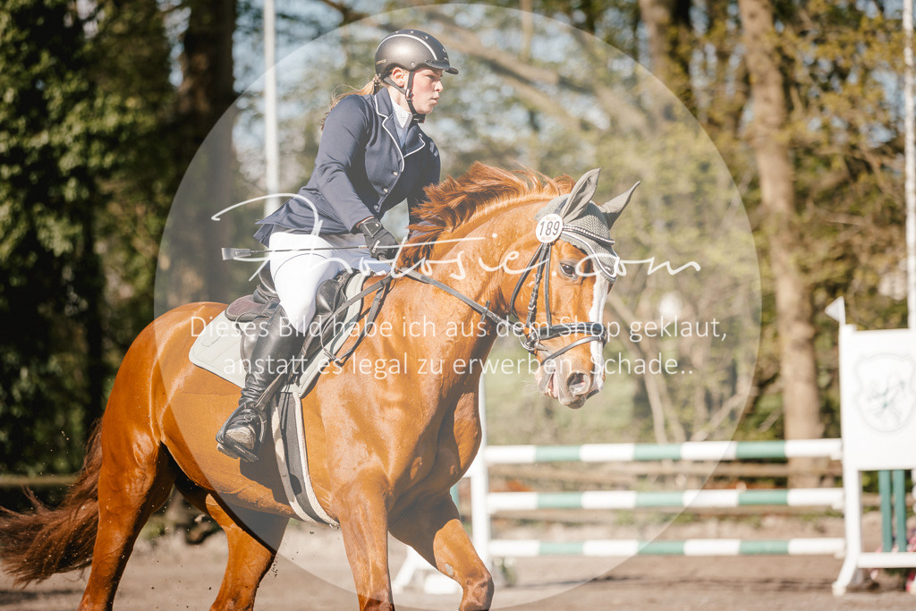 3I6A3721 | Stimmungsvolle Portraits und Reitsportfotografie im Ruhrgebiet und im Münsterland.

Pferdefotografie, Hundefotografie, Tierfotografie, Reportagen, Portraits von Tier und Mensch, Turnierfotografie in Bochum, Recklinghausen, Marl, Haltern am See, Dülmen.. - Realisiert mit Pictrs.com
