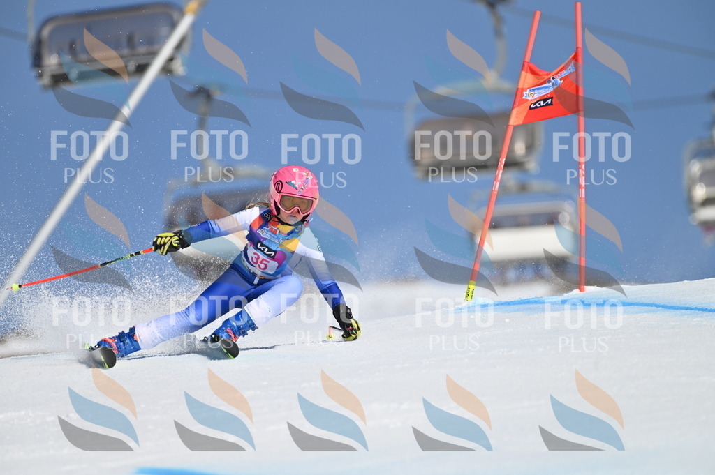 BGV_8238 | holidayphoto