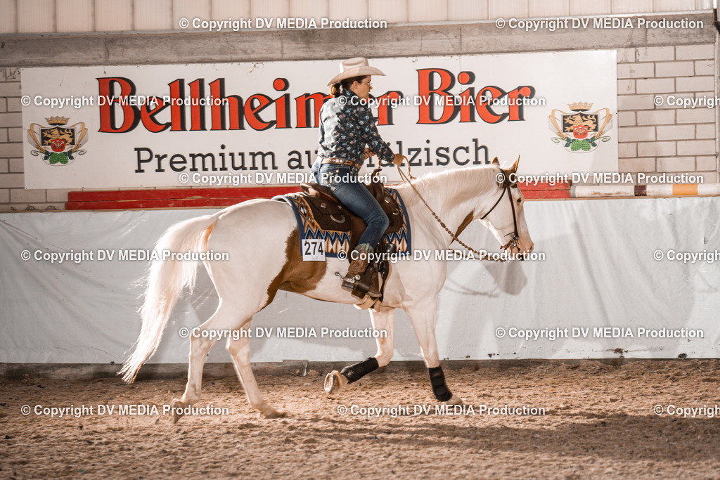 ZH200920 | dv-media-shop - Realisiert mit Pictrs.com