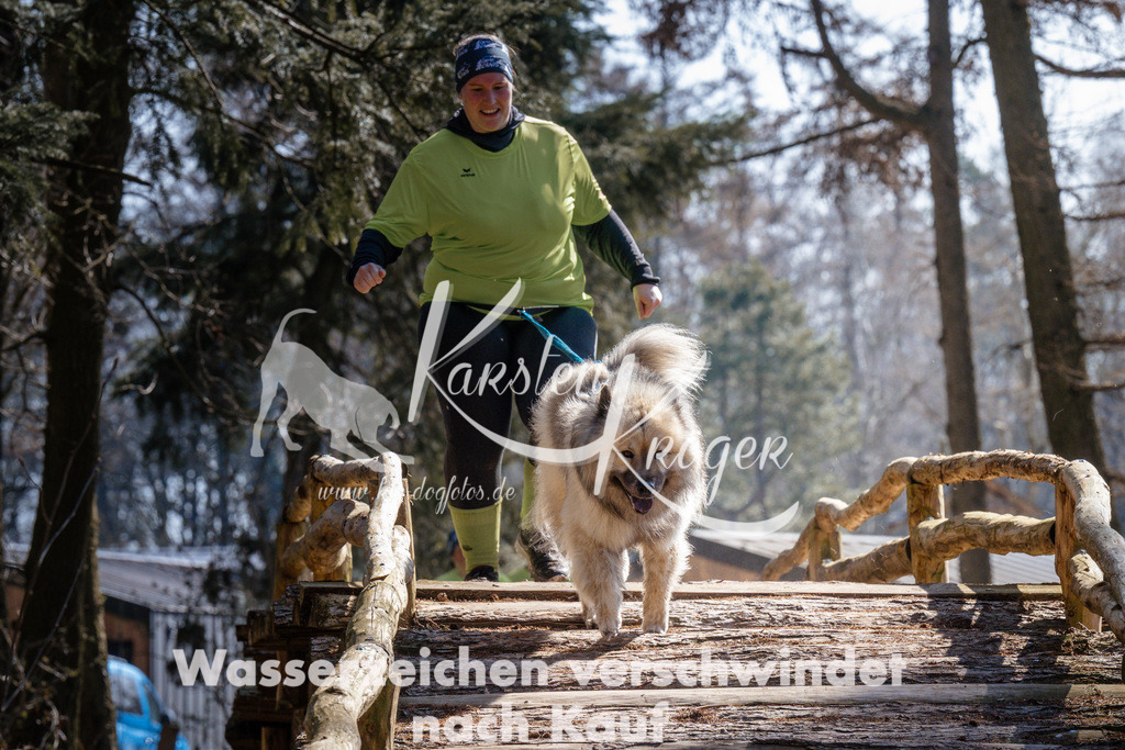 1333_ZZ95485 | kk-dogfotos