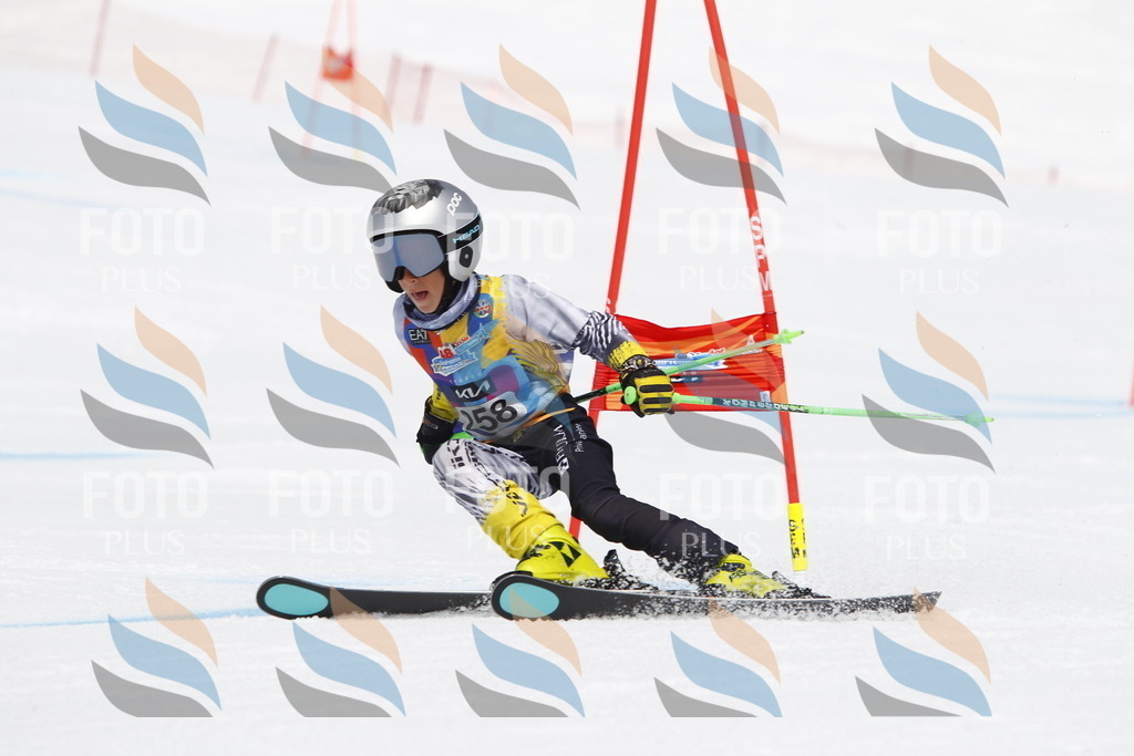 _U3G6490 | holidayphoto