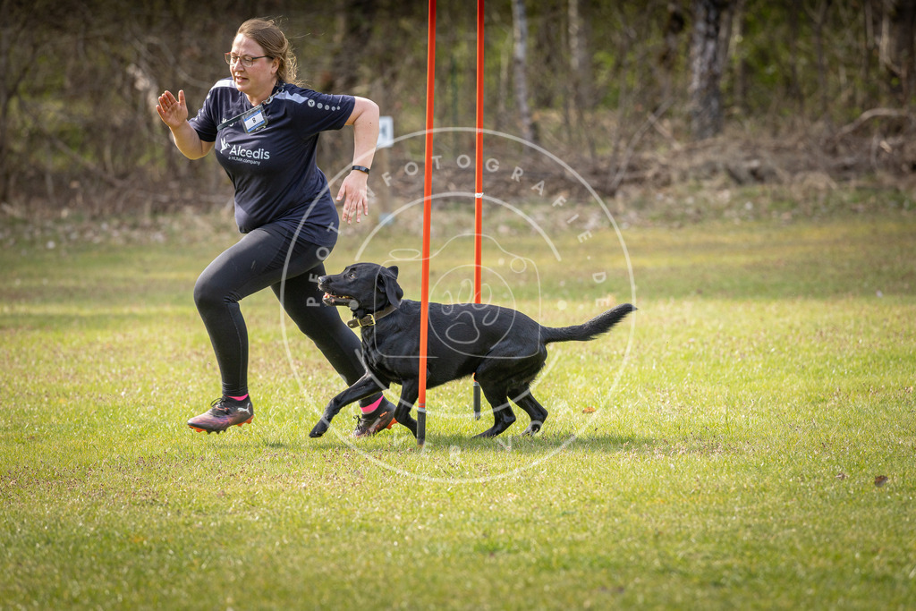 Pfotenfotografie_DV3A9910 | Hundefotografie, Tierfotograf, Pfotenfotografie, Fotoshooting Hund, Hunde Portrait, Hundesport, Hundeportraits, Heideshooting, Hunde, Sportfotograf, Hundefotograf, Turnierhundsport, THS,  - Realisiert mit Pictrs.com