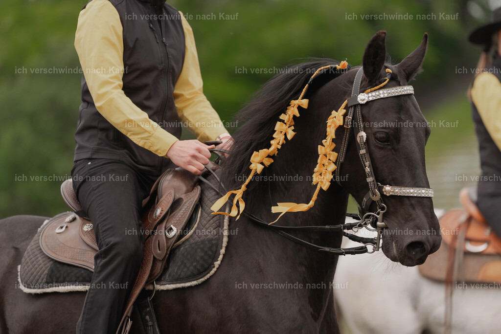 Showprogramm-187 | working equitationturnier fotograf videograf stoibphotography marixx film working equitation deutschland reitsport turnierfotografie eventfotografie equestrian events
