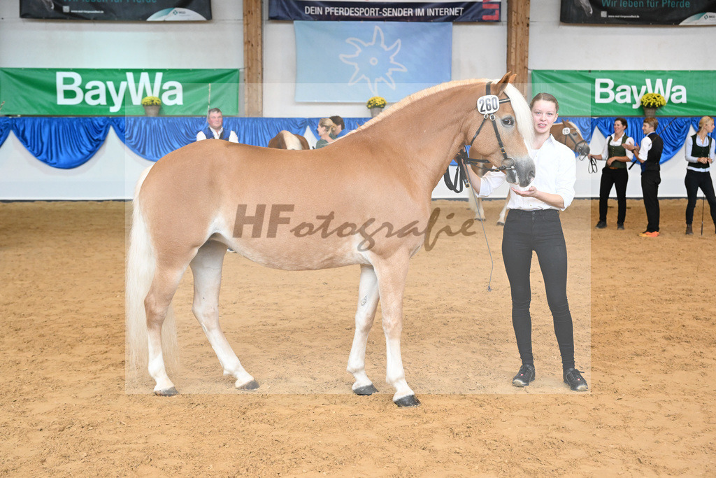 Kat-Nr. 260 Okara_Kargel_54224041 | hf-fotografie - Realisiert mit Pictrs.com