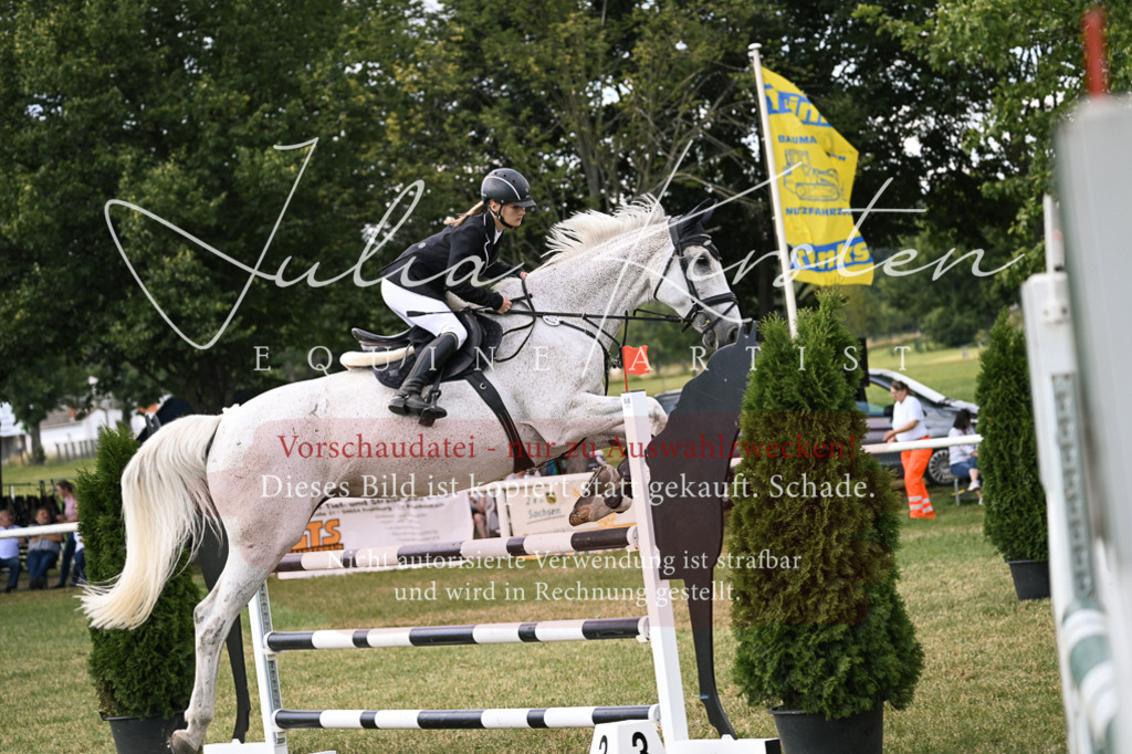 DSC_0970 | Pferde- und Turnierfotografie in Westsachsen. Pferdeportraits, Auftragszeichnungen und intuitive Kunst.