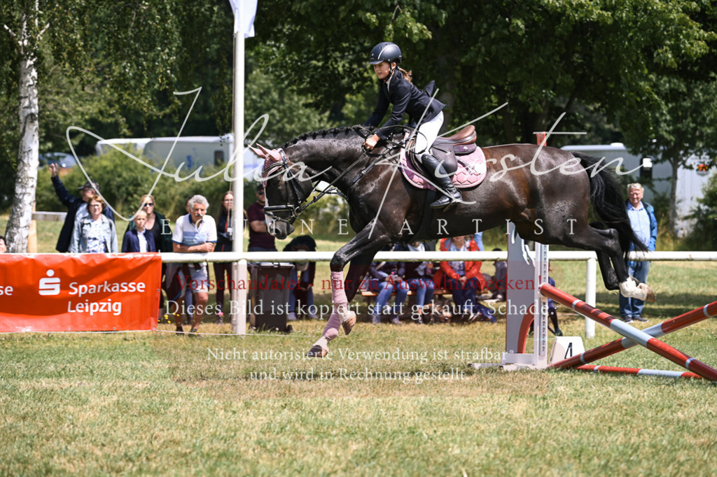 DSC_9374 | Pferde- und Turnierfotografie in Westsachsen. Pferdeportraits, Auftragszeichnungen und intuitive Kunst.