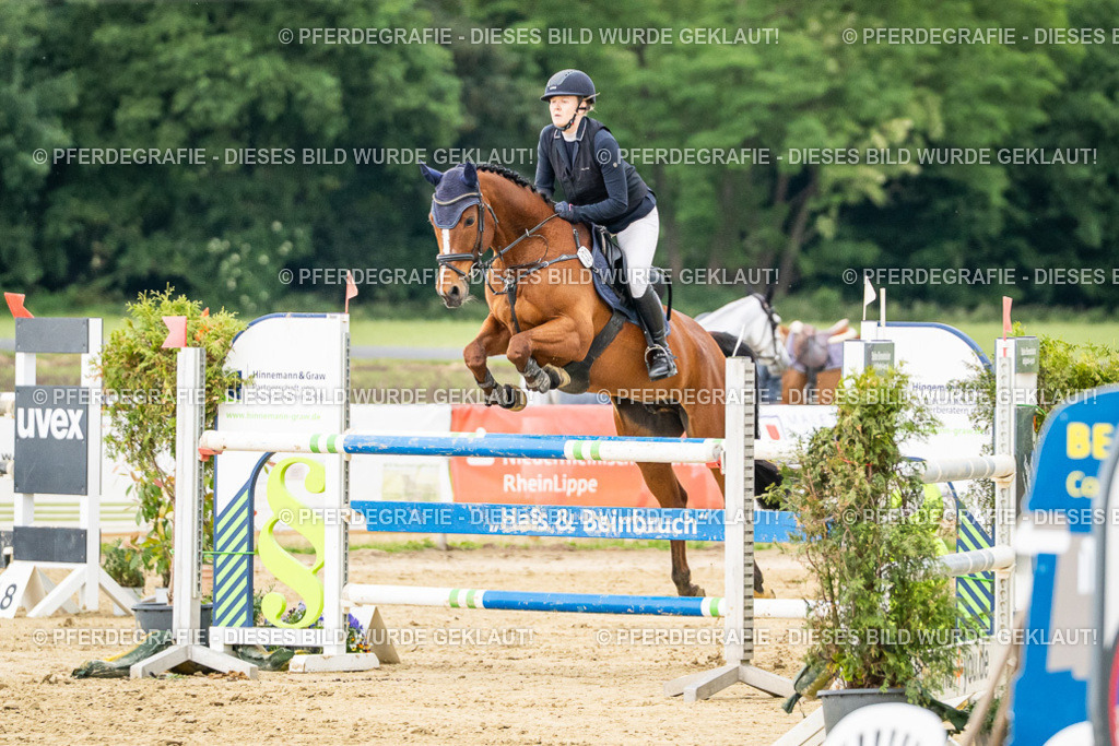 DSC06579 | Pferdegrafie