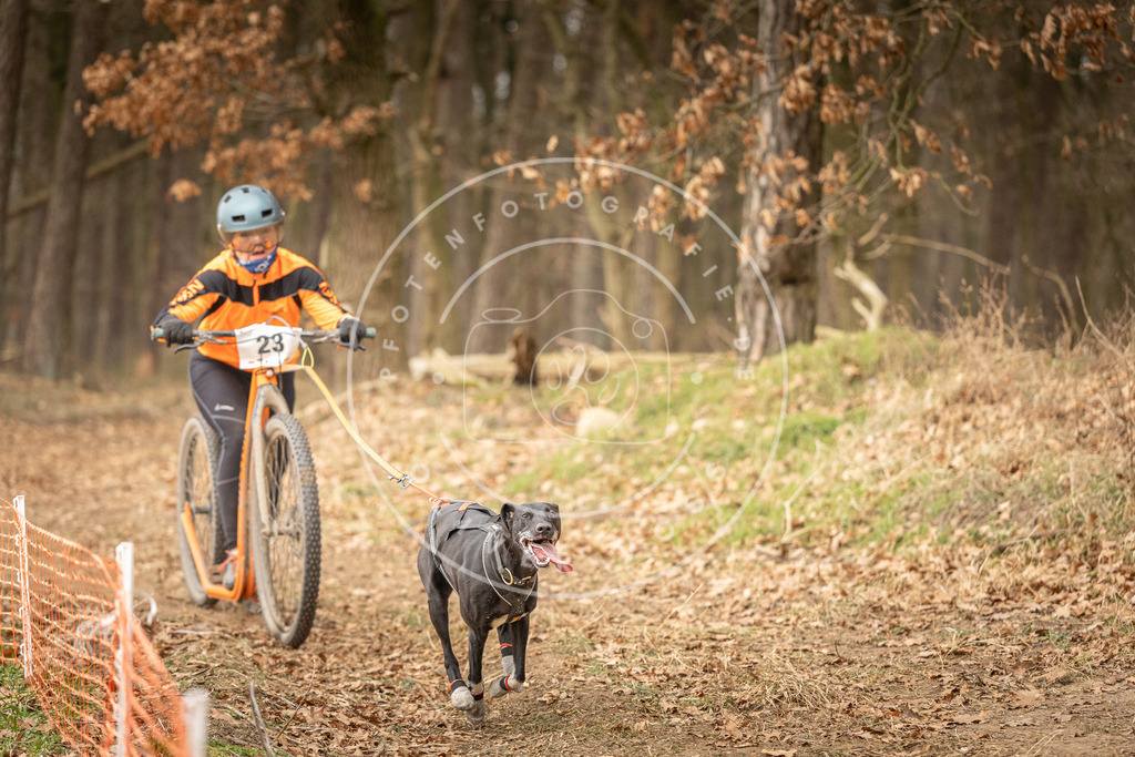 Pfotenfotografie_DV3A4143 | Hundefotografie, Tierfotograf, Pfotenfotografie, Fotoshooting Hund, Hunde Portrait, Hundesport, Hundeportraits, Heideshooting, Hunde, Sportfotograf, Hundefotograf, Turnierhundsport, THS,  - Realisiert mit Pictrs.com