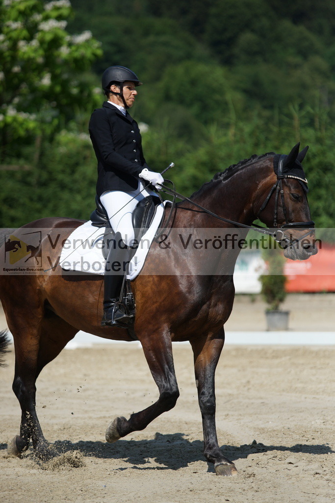 DSC01559 | equestrian-live-com