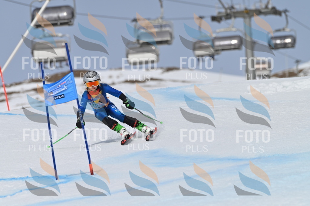 BGV_4843 | holidayphoto