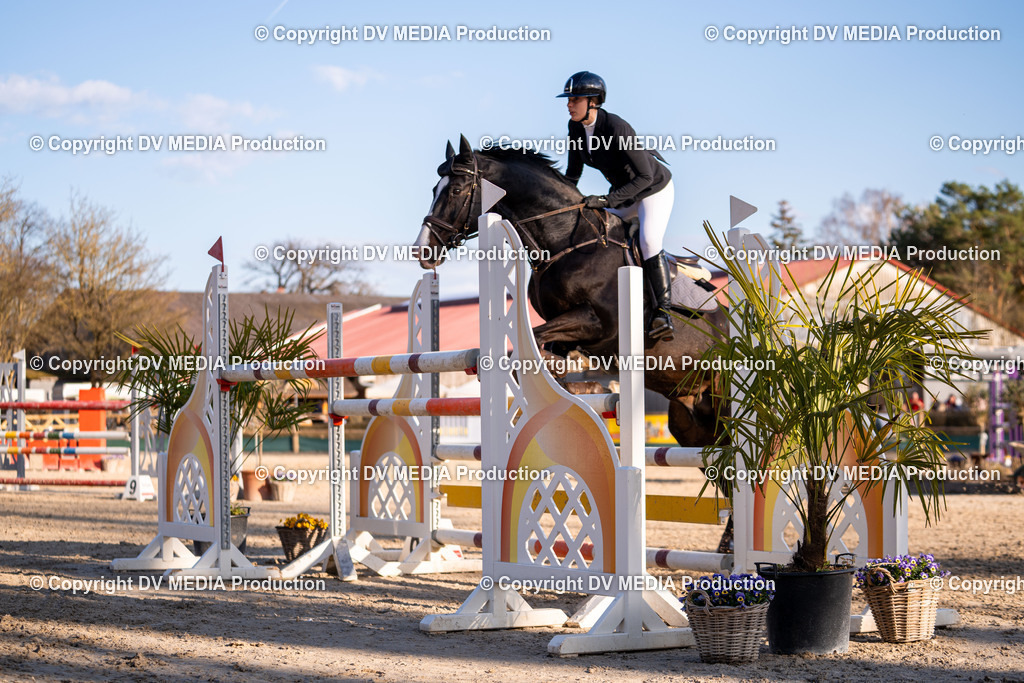 Kranichstein Tag 2-1123 | dv-media-shop - Realisiert mit Pictrs.com